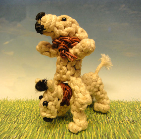 knotted animal dogs